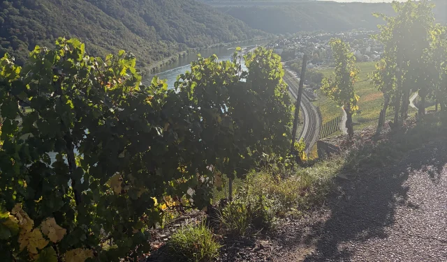 Weinwanderung