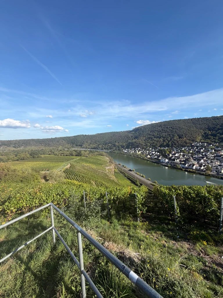 Weinwanderung 2027 – Bild 10