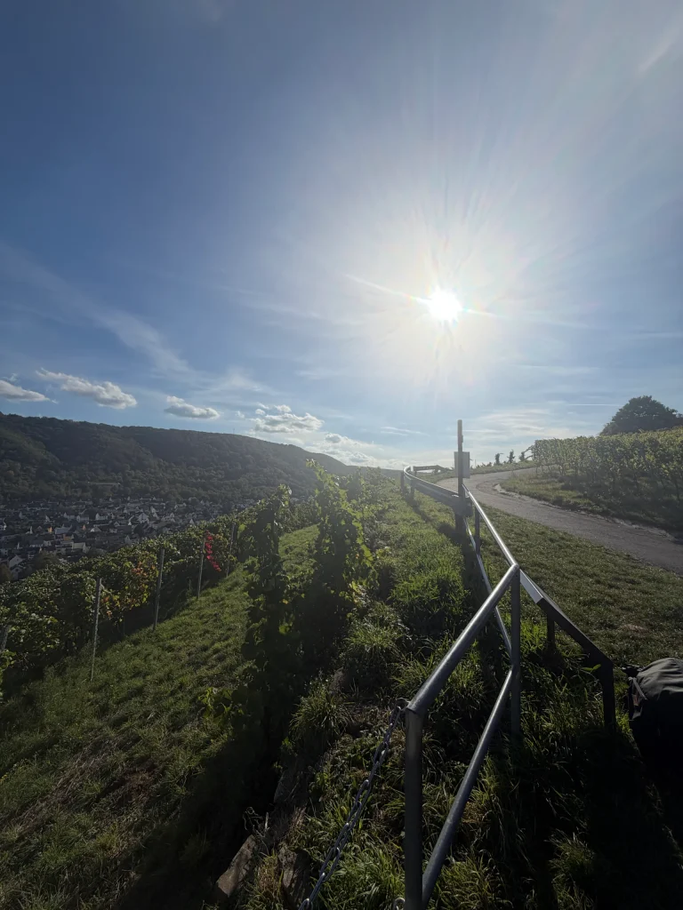 Weinwanderung 2027 – Bild 11