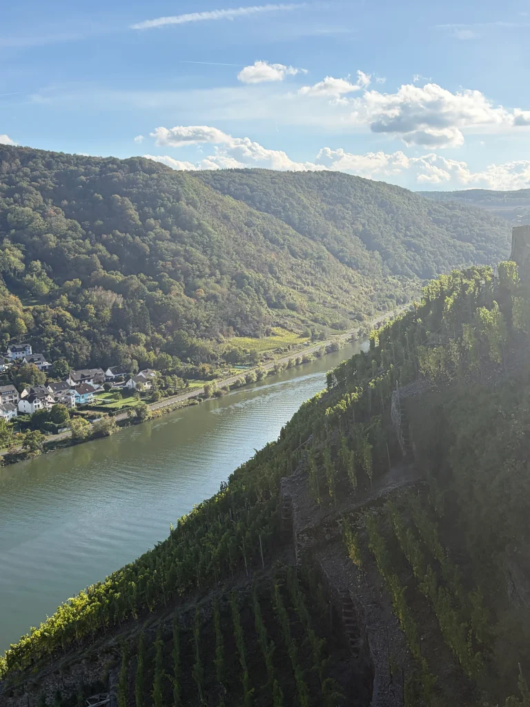 Weinwanderung 2027 – Bild 12