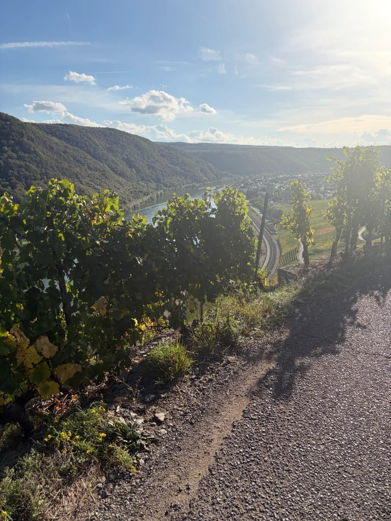 Weinwanderung 2027 – Bild 21