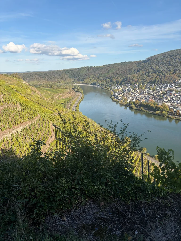Weinwanderung 2027 – Bild 22