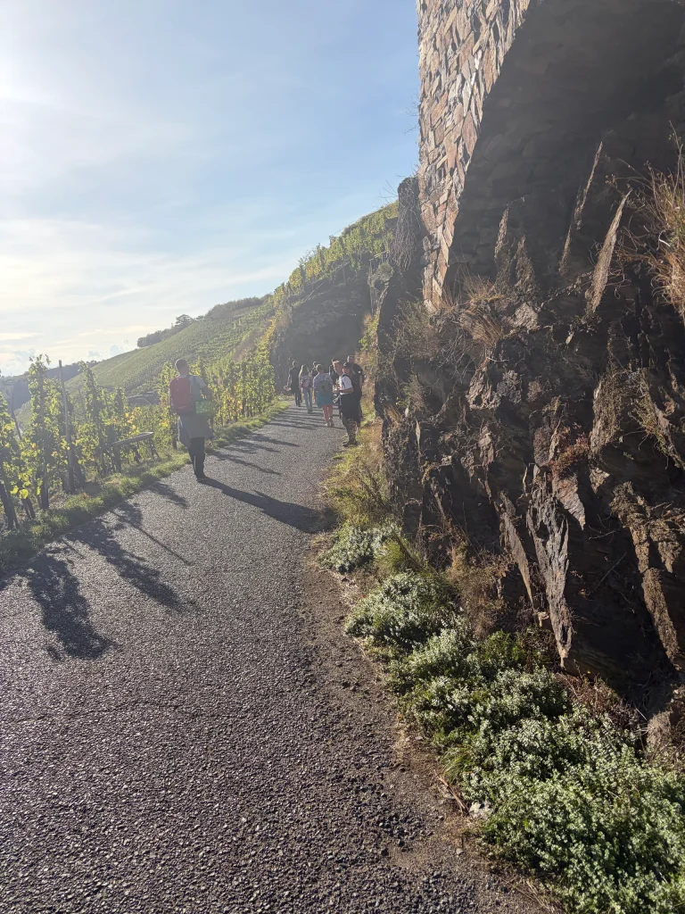 Weinwanderung 2027 – Bild 25