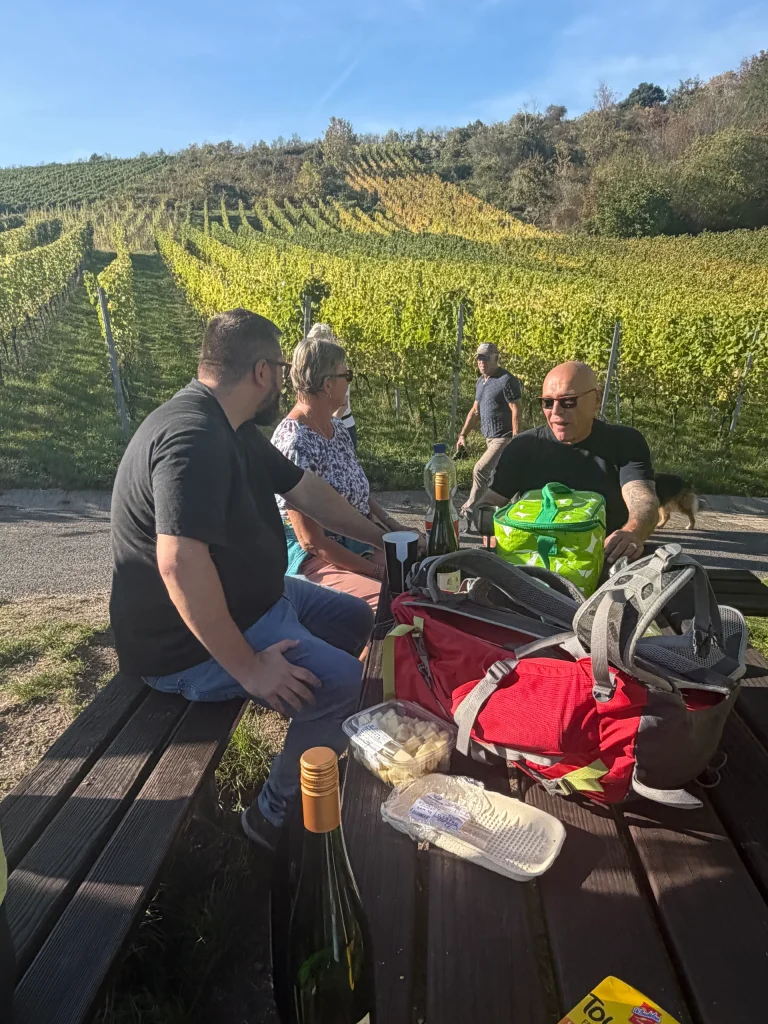 Weinwanderung 2027 – Bild 3
